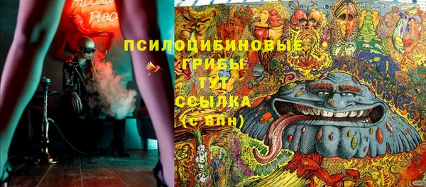 соль курить ск Богородск