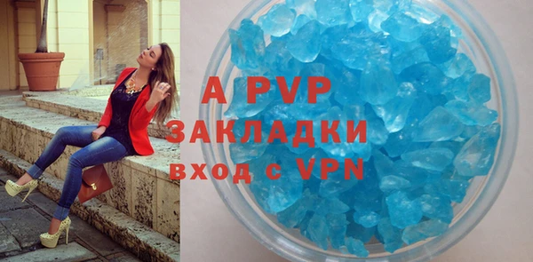 мдпв Богданович